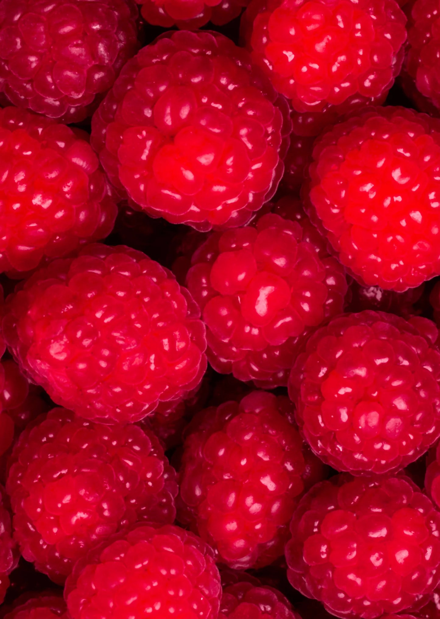 Dentrifrice Fruitée